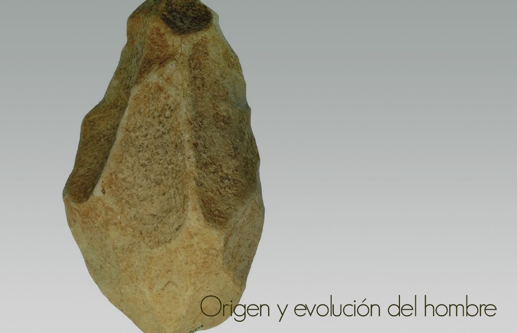 Origen y evolución del hombre