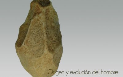 Origen y evolución del hombre