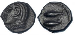 GADIR. Mitad. Último tercio s. III a.C. A/ Cabeza de Melkart con leonté a izq. R/ Dos atunes a izq., en medio letra fenicia resh. I-No. CNH-13 (mismo ejemplar ilustrado). ACIP-643 (mismo ejemplar ilustrado). MBC. Pátina oscura. Rara.