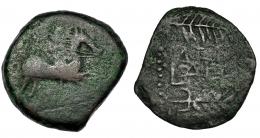 LAELIA. As. A/ Jinete a der. sobre línea. R/ LAELI(A) entre palma y espiga a der. AE 11,06 g. CNH-5. I-1647. ACIP-2365. BC-. Rara.