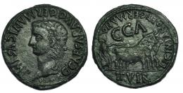 CAESARAUGUSTA. Calígula. As (37-41). A/ Cabeza laureada a izq.: G. CAESAR AVG GERMANICVS IMP. R/ Sacerdote arando a der.; encima C.C.A., alrededor LICINIANO ET GERMANO / II VIR. I-391. RPC-371. Pequeñas marcas. Pátina oscura. MBC.