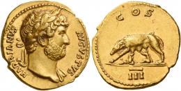 HADRIAN AUGUSTUS. Aureus. AV 7.28 g. HADRIANVS – AVGVSTVS Laureate bust r., with drapery on l. shoulder. Rev. COS She-wolf l. suckling twins; in exergue, III. A bold portrait struck in high relief on a very broad flan. Good extremely fine.