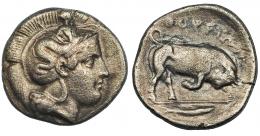 LUCANIA. Thorium. Didracma (400-350 a.C.). A/ Cabeza de Atenea a der. con casco ático decorado con Escila. R/ Toro embistiendo a der., en exergo pez; encima ley. griega TOURION. Ar 7,11 g. COP-1436. MBC.  