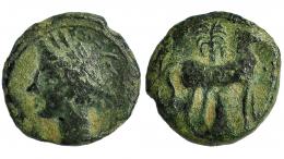ZEUGITANIA. Cartago. Medio calco. A/ Cabeza de Tanit a izq. R/ Caballo a der. delante de palmera. AE 2,05 g. COP-109-113. SBG-6444. Pátina verde. BC+.