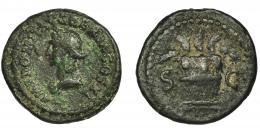 DOMICIANO. Cuadrante. Roma (85). R/ Modio con espigas; SC. AE 3,0 g. 19 mm. RIC-276b. Pátina verde rugosa. BC+. Rara.