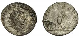 182  -  SALONINO. Antoniniano. Roma (259-260). R/ Instrumentos pontificales; PIETAS AVG. VE 3,81 g. 21,3 mm. RIC-4. hoja en rev. MBC/BC+. Escasa.