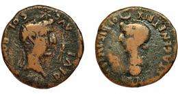 COLONIA ROMULA. Dupondio. Tiberio. A/ Cabeza a der., encima estrella, delante haz de rayos; (PERM) DIVI AVG COL ROM. R/ Cabeza de Livia a izq., debajo globo, encima creciente; IVLIA AVGVSTA GENETRIX ORBIS. AE 23,4 g. 32,1 mm. I-2014. RPC-73. APRH-73. ACIP-3360. BC+/BC-.