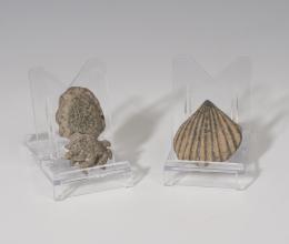 471  -  ROMA. Imperio Romano. Lote de dos elementos decorativos (I-IV d.C.). Bronce. En forma de concha y pulpo. Altura 3,2 y 4,3 cm.