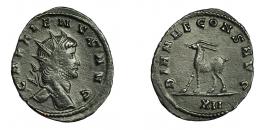 IMPERIO ROMANO. GALIENO. Antoniniano. Roma (267-268). R/ Cabra a izq.; DIANAE CONS AVG, exergo XII. VE 2,25 g. 22,2 mm. RIC-181. Pátina oscura. MBC+.