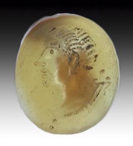 ROMA. Imperio Romano. Entalle (I-III d.C.). Cornalina. Cabeza masculina inberbe a izquierda, debajo cornucopia. Altura 11 mm.