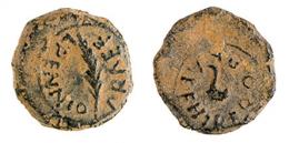 CARTHAGO NOVA. Cuadrante. ¿Augusto? A/ Palma; L BENNIO PRAEF. R/ Simpulum; HIBERO PRAEF. AE 2,85 g. 16 mm. RPC-165. APRH-165. ACIP-3135. CC-4385, mismo ejemplar. Pátina oscura terrosa. MBC-. Muy rara.