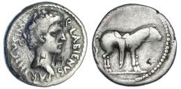 424 - PERIODO DE JULIO CÉSAR A AUGUSTO. LABIENO. Denario. Ceca móvil de Siria o el sureste de Asia Menor (40 a.C.). A/ Cabeza a der.; Q LABIENVS PARTHICVS IMP. R/ Caballo parto a der. con brida y silla. AR 3,37 g. 17,5 mm. CRAW-524.2. FFC-1. Dos contramarcas en anv. y una en rev. BC+. Muy rara. Ex colección Lifchuz. Interesante y rarísima pieza. Quinto Labieno era hijo del famoso Tito Labieno, tribuno de la plebe y luego Legado y segundo al mando en las primeras campañas de César en la Galia, llegando a ser gobernador de la Galia Cisalpina, pero durante la guerra civil se pasó al bando de su antiguo patrón, Pompeyo, que le hizo su comandante de caballería, y siguió luchando durante años uniéndose a Pompeyo el Joven en Hispania, muriendo en la batalla de Munda (45). Tras el asesinato de César (44), Quinto decidió apoyar a Bruto y Casio y éste le nombró como su representante ante el rey de los partos Orodes II con la misión de conseguir su apoyo militar, y tras la batalla de Filipos (42) se puso al servicio del monarca arsácida y lideró junto a Pacoro, hijo y corregente del rey Orodes, una invasión de la Siria romana (40), que le llevó a ocupar la práctica totalidad de Asia Menor, consiguiendo el apoyo de numerosas guarniciones romanas, tomando por ello el título de Imperator, pero Marco Antonio terminó enviando contra él a Publio Ventidio Basso, que consiguió derrotarle y por fin capturarle y darle muerte (39).
Esta moneda lleva el retrato y nombre completo de Labieno en anverso y en reverso muestra un caballo parado con silla de montar, arreos y carcaj, imagen de la principal baza guerrera de sus aliados partos, su famosa caballería, que usaba el “disparo parto” de flechas al galope contra las formaciones romanas. Labieno aparece con el título de Imperator, obtenido en el campo de batalla por derrotar a los partidarios de Antonio, y con el de Parthico, usado no de la manera tradicional, por haber derrotado a este pueblo en nombre de Roma, sino más bien como una muestra de su alianza con este reino para ocupar territorio romano, por lo que muchos le consideraban un renegado.