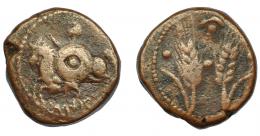 105 - HISPANIA ANTIGUA. ITUCI. Unidad. A/ Jinete con rodela y lanza a izq. debajo ley. fenicia. R/ Dos espigas entre glóbulos, creciente y glóbulo en el medio. AE 11,18 g. 23,4 mm. I-1602. ACIP- 841. BC+. Rara