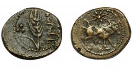 106 - HISPANIA ANTIGUA. ITUCI. Mitad. A/ Toro a der., encima estrella, entre las patas glóbulo. R/ Espiga a izq. con tres puntos y a der. la ley. púnica. AE 6,29g. 21,5 mm. I- 1606. ACIP-843. Pequeñas erosiones. MBC-/MBC. Rara.