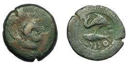 15 - HISPANIA ANTIGUA. ABDERA. Unidad. A/ Cabeza masculina a der., detrás clava. R/ Delfín a der. y atún a izq., debajo ley. púnica `bdrt, delante dos glóbulos. AE 13,50 g. 29,5 mm. I-11. ACIP-868. RC/BC+. Muy rara.