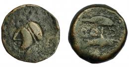 18 - HISPANIA ANTIGUA. ABDERA. Mitad. A/ Cabeza con casco a izq. R/ Delfín y atún a izq., en medio ley. púnica 'bdrt. AE 5,23 g. 19,9 mm. BC/BC-. Muy rara.