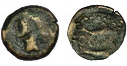 19 - HISPANIA ANTIGUA. ABDERA. Mitad. A/ Cabeza con casco a izq. R/ Atún y delfín a izq., en medio ley. púnica 'brt. AE 4,25 g. 19,9 mm. I-19. ACIP-882. BC-. Muy rara.