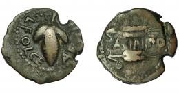 31 - HISPANIA ANTIGUA. ACINIPO. As. A/ Racimo de uvas con estrella en la parte superior; L FOLCE AEDILE. R/ Dos espigas a der., en medio ACINIPO. AE 6,99 g. 21,4 mm. I-49. ACIP-2455. MBC-/BC+. Rara.
