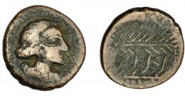 57 - HISPANIA ANTIGUA. CERIT. Semis. A/ Cabeza laureada a der. R/ Dos palmas a der., en medio CERI. AE 5,56 g. 20,3 mm. ACIP-2414. I-824. BC+. Rara.