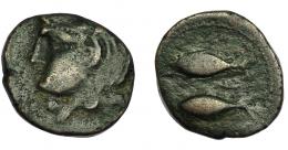 69 - HISPANIA ANTIGUA. GADIR. Mitad. A/ Cabeza de Melkart a izq. R/ Dos atunes a der., en medio letra fenicia ¿peh? tumbada. AE 4,80 g. 18,8 mm. I-1317 vte. ACIP-642. MBC-/BC+. Muy rara.