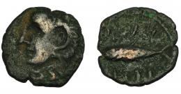 HISPANIA ANTIGUA. GADIR. Semis o cuarto. A/ Cabeza de Melkart con leonté a izq. R/ Atún a izq.; mpl/´gdr. AE 1,69 g. 15,5 mm. I-1346- ACIP-692. BC/BC+.