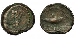 90 - HISPANIA ANTIGUA. ILIPENSE. Semis. A/ Sábalo a der., debajo ILIPENSE. R/ Espiga. AE 26,8 mm. 11,29 g. I-1534. ACIP-2326. Acuñación defectuosa. BC+. Escasa.