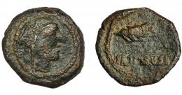92 - HISPANIA ANTIGUA. ILIPA. Cuadrante. A/ Cabeza femenina con tocado a der. R/ Espiga a der., debajo ILIPENSE. AE 20,1 mm. 4,21 g. I-1543. ACIP-2341. BC+. Muy rara.