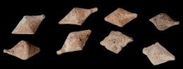 ARQUEOLOGÍA. ROMA. República Romana. Lote de ocho glandes bicónicos y ovalados (I a.C.). Plomo. Con CN(EO POMPEYO) MAG(NO). Longitud 3,5 a 5 cm.