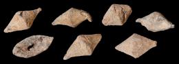 ARQUEOLOGÍA. ROMA. República Romana. Lote de ocho glandes bicónicos y ovalados (I a.C.). Plomo. Siete con CN(EO POMPEYO) MAG(NO) y uno anepígrafo. Longitud 3,5 a 5 cm.