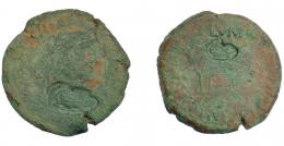 COLECCIÓN CORES. CLUNIA. TIBERIO. As. A/ Cabeza laureada a der.; TI CAESAR AVG F AVGVSTVS IMP. R/ Toro a izq., encima CLVNIA, alrededor C AEM METO T COR MATE L CAEL PRES C CAEL CAND IIII VIR. Contramarca jabalí en anv. y otra en rev. AE 9,11 g. 28 mm. RPC-454. APRH-454. ACIP-3174. CC-5094, mismo ejemplar. Pátina verde. RC.
