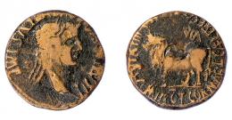 COLECCIÓN CORES. CLUNIA. TIBERIO. As. A/ Cabeza laureada a der.; TI CAESAR AVG F AVGVSTVS IMP. R/ Toro a izq., encima CLVNIA, alrededor C AEM METO T COR MATE L CAEL PRES C CAEL CAND IIII VIR. Contramarca en rev. AE 10,87 g. 27 mm. RPC-454. APRH-454. ACIP-3174. CC-5100, mismo ejemplar. BC+.