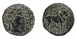 COLECCIÓN CORES. ERCAVICA. AUGUSTO. As. A/ Cabeza laureada a der.; AVGVSTVS (recta) DIVI F. R/ Toro a der.; MVN ERCAVICA. AE 13,36 g. 28 mm. RPC-459. APRH-459b. ACIP-3186a. CC-5113, mismo ejemplar. Pátina verde oscuro. MBC+.