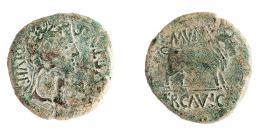 COLECCIÓN CORES. ERCAVICA. AUGUSTO. As. A/ Cabeza laureada a der.; AVGVSTVS DIVI F. R/ Toro a der.; MVN ERCAVICA. Contramarca cabeza de águila en anv. AE 9,95 g. 27 mm. RPC-459. APRH-459a. ACIP-3186. CC-5114, mismo ejemplar. Pátina verde. BC+.