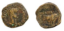 COLECCIÓN CORES. ERCAVICA. TIBERIO. As. A/ Cabeza laureada a der.; TI CAESAR DIVI AVGVSTI F AVGVSTVS. R/ Toro mitrado a der.; MVN ERCAVICA, C COR FLORO L CAEL ALACRE II VIR. AE 16,20 g. 29 mm. RPC-462. APRH-462a. ACIP-3189. CC-5122, mismo ejemplar. MBC. Escasa.