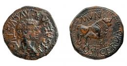 COLECCIÓN CORES. OSICERDA. TIBERIO. As. A/ Cabeza laureada a der.; TI CAESAR AVGVSTVS. R/ Toro a der.; MVN OSICERDA. AE 10,51 g. 30 mm. RPC-468. APRH-468. ACIP-3234. CC-5130, mismo ejemplar. Erosión en anv. Pátina rojiza. MBC/EBC-. Escasa.