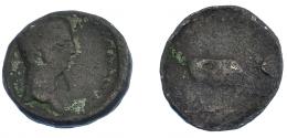COLECCIÓN CORES. EBUSUS. CLAUDIO I. Semis. A/ Cabeza a der. R/ Toro a der. AE 7,36 g. 24 mm. RPC-482A. APRH-482A. ACIP-3185. CC-5166, mismo ejemplar*. BC-.