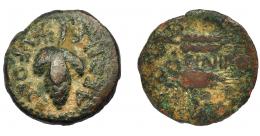 1017 - HISPANIA ANTIGUA. ACINIPO. As. A/ Racimo de uvas, en la parte superior estrella a izq.; L FOLCE AEDILE. R/ Dos espigas a der., en medio (A)CINIPO. AE 6,37 g. 22,1 mm. I-59. ACIP-2455. Pátina oscura. MBC/RC-. Rara.