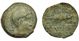HISPANIA ANTIGUA. CAURA. As. A/ Cabeza con casco a der., detrás X, alrededor láurea. R/ Sábalo a der., debajo A y creciente, no visibles. En medio, entre líneas (C)AV)RA. AE8,33 g. 25,4 mm. I-765. ACIP-2410. Pátina verde. RC/BC-. Muy rara. Ex Áureo, 29-9-1998, lote 598. 