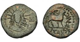 HISPANIA ANTIGUA. CELSA. Semis. A/ Busto radiado y drapeado; a der. C V I (L). R/ Cordeo a der.; L CAL SEX NIG, encima AED. AE5,21 g. 18,9 mm. I-802. APRH-266. ACIP-1498. BC+. Muy rara. Ex Áureo, 30-5-2000, lote 64.