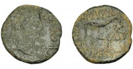 HISPANIA ANTIGUA. CELSA. Augusto. As. A/ Cabeza laureada a der.; AVGVSTVS (DIVI F). R/ Toro a der., L L BAGGIO/MN FESTO, delante II VIR, detrñas C V I CEL. AE 11,05 g. 25,8 mm. I-809. APRH-273. ACIP-3164. Concreciones. Pátina verde. MBC-.