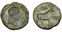 HISPANIA ANTIGUA. CELSA. Augusto. As. A/ Cabeza laureada a der.; IMP CAESAR DIVI F AVGVSTVS COS XII. R/ Toro a der.; (CN) DOMITIO/ (C) POMPEIO, delante II VIR, deträs (C V VI CEL). AE 12 g. 22,5 mm. I-814. APRH-278f. ACIP-3169e. Pátina verde oscuro. MBC/MBC+. Ex Numag, 24-9-1995.
