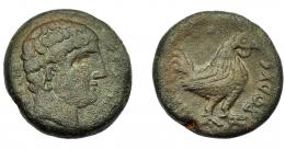 1029 - HISPANIA ANTIGUA. AREKORATAS. Semis. A/ Cabeza masculina a der., delante dos glóbulos (no visibles), detrás signos ibéricos (SOS). R/ Gallo a der., detrás dos glóbulos; (AREI)KoRATaS. AE 12,7 g. 24,7 mm. I-87 vte. ACIP-1470. Pátina oscura. MBC-. Rara.