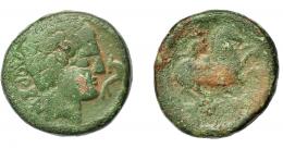 HISPANIA ANTIGUA. KONTERBIA KARBIKA. Unidad. A/ Cabeza masculina imberbe a der., delante delfín, detrás KaRBiKoM. R/ Jinete lancero a der., debajo bajo línea KoNTeBaKoM poco visible. AE 11,46 g. 24,9 mm. I-847. ACIP-1838. Pátina verde con concreciones. MBC-/BC-. Rara.