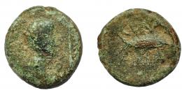 HISPANIA ANTIGUA. CUMBARIA. Semis. A/ Cabeza masculina a der., delante palma, detrás S. R/ Atún a der., CVNBARIA. AE 12,38 g. 24,3 mm. I-881. ACIP-2619. Pátina verde con erosiones. BC-/BC. Rarísima. 