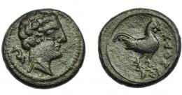 1037 - HISPANIA ANTIGUA. AREKORATAS. Cuarto. A/ Cabeza masculina a der., detrás delfín. R/ Gallo a der., AREKoRATa. AE 5,86 g. 20 mm. I-92. ACIP-1781. Pátina verde oscuro. MBC. Rarísima, no más de tres ejemplares conocidos. Ex Vico, 3-3-1993, lote 25.