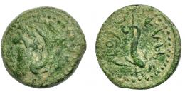 HISPANIA ANTIGUA. GADIR. Cuarto. A/ Cabeza de Melkart a izq. con clava al hombro. R/ Delfín con tridente a izq.; p´lt/hgdr. AE 3,3 g. 17,3 mm. I-1355. ACIP-681. Pátina verde. BC+/MBC-. 