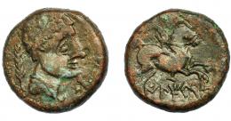 HISPANIA ANTIGUA. ILTIRKESKEN. Unidad. A/ Cabeza masculina con cuello vestido a der., delante signo ibérico N, detrás palma. R/ Jinete con palma a der., debajo ILTiRKeS. AE 9,82 g. 22,1 mm. I-1452. ACIP-1395. MBC/MBC-. 