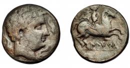 HISPANIA ANTIGUA. ILTIRTA. As. A/ Cabeza masculina a der., alrededor tres delfines. R/ Jinete con palma a der., debajo sobre línea ILTiRTa. AE 23,84 g. 32,8 mm. I-1461. ACIP-1236. Campos repasados. Pátina oscura. BC+. Escasa. Ex Hervera, 6-7-1993.
