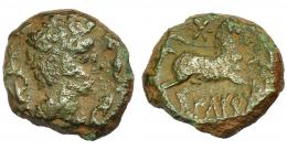 HISPANIA ANTIGUA. ILTIRTA. Cuadrante. A/ Cabeza masculina a der., alrededor tres delfines. R/ Caballo galopando con rienda suelta a der., encima estrella, debajo ILTiRTa. AE 2,06 g. 14,1 mm. I-1468. ACIP-1258. Pátina verde. BC+. Rara. Ex Hervera, 29-7-1995.