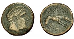 HISPANIA ANTIGUA. ILTIRTA. As. A/ Cabeza masculina con collar a der. R/ Lobo avanzando a der., encima ILTiRTa. AE 6,56 g. 21,5 mm. I-1477. ACIP-1273. MBC-.